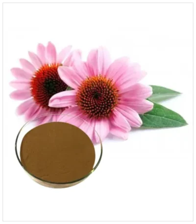 الإكيناسيا