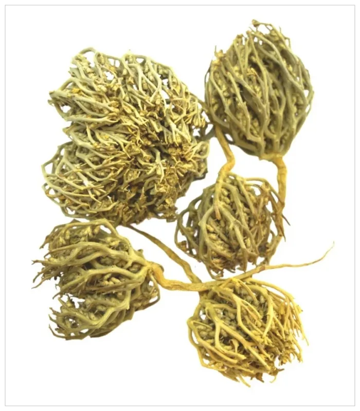 ام الجلاجل ام الجلاجل