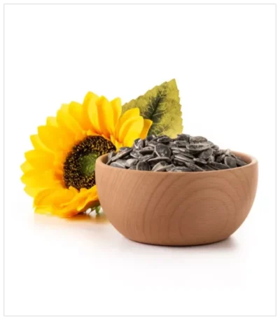 بذور دوار الشمس