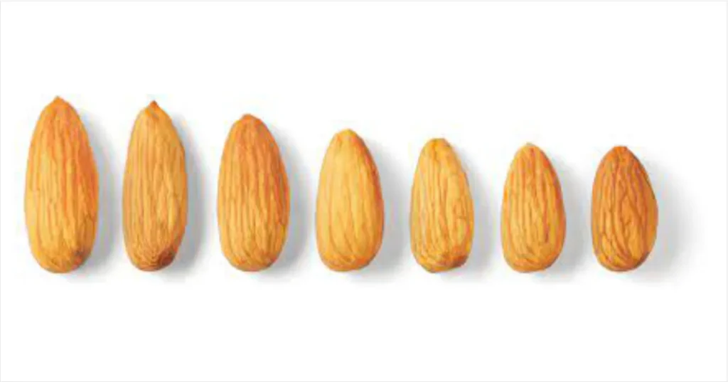 أصناف اللوز