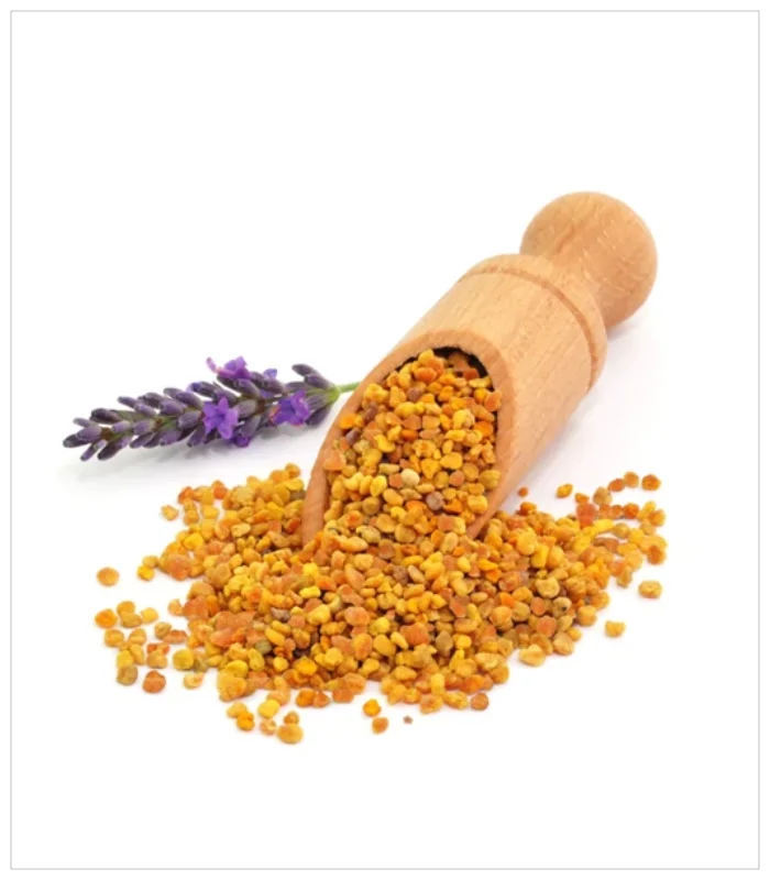 حبوب اللقاح حبوب اللقاح