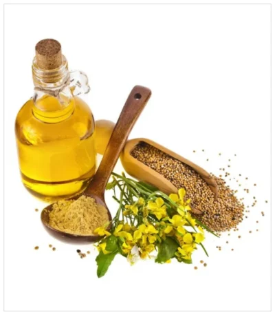 زيت الخردل الطبيعي