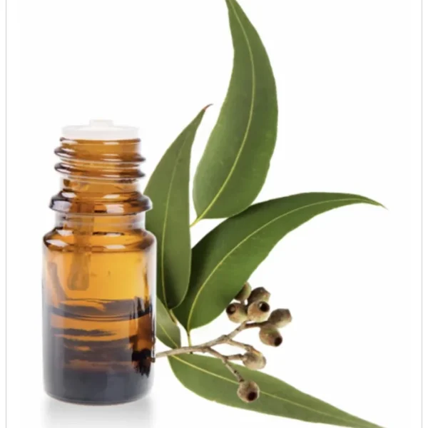 زيت السدر الطبيعي