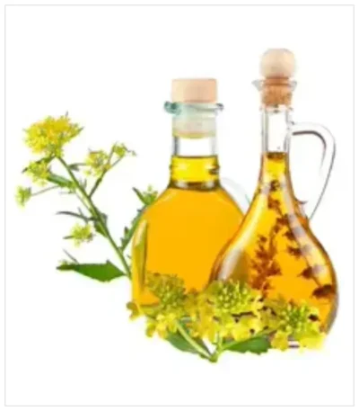 زيت الكانولا