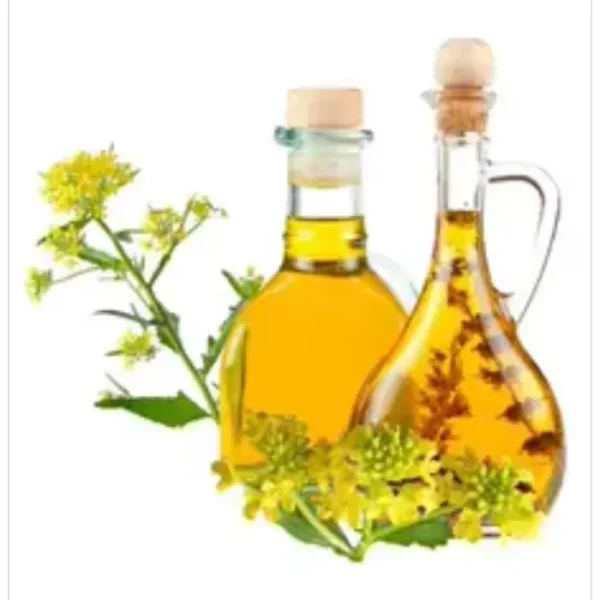 زيت الكانولا