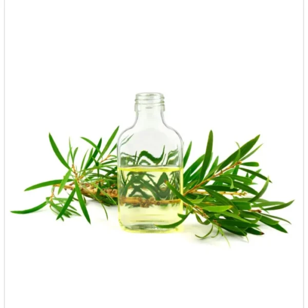 زيت شجرة الشاي