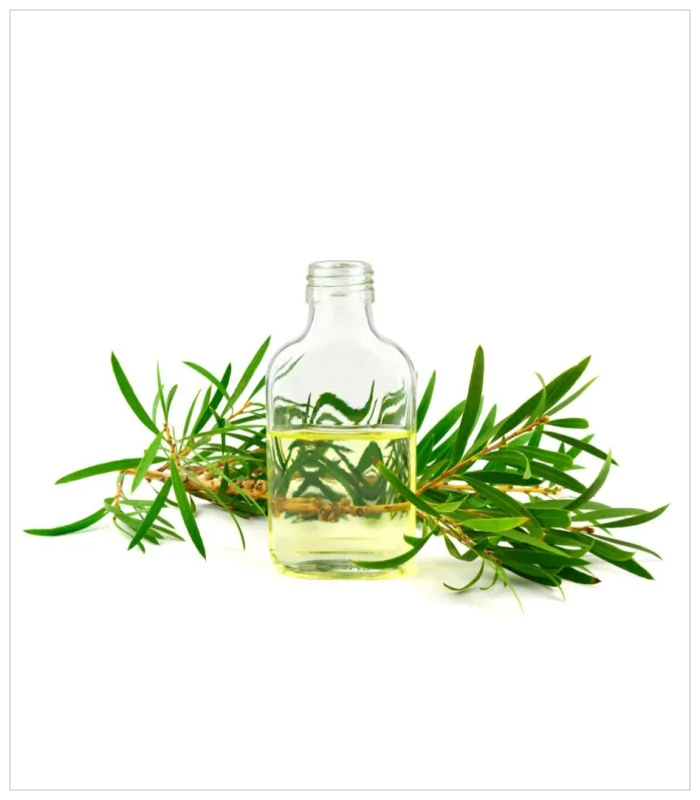 زيت شجرة الشاي زيت شجرة الشاي