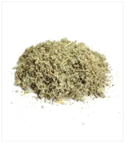 عشبة الخياطة