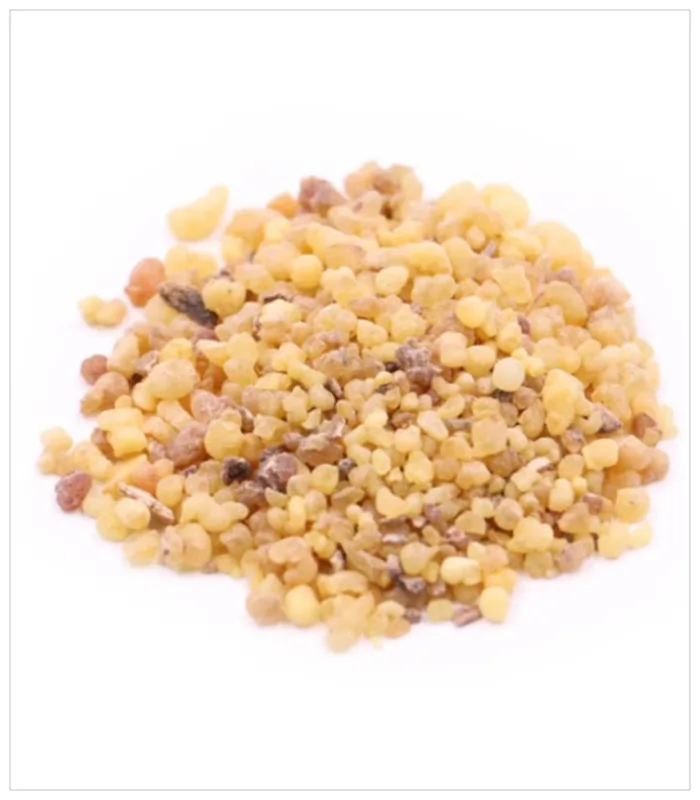 لبان ذكر صغير لبان ذكر صغير