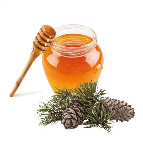 عسل الصنوبر المصفى